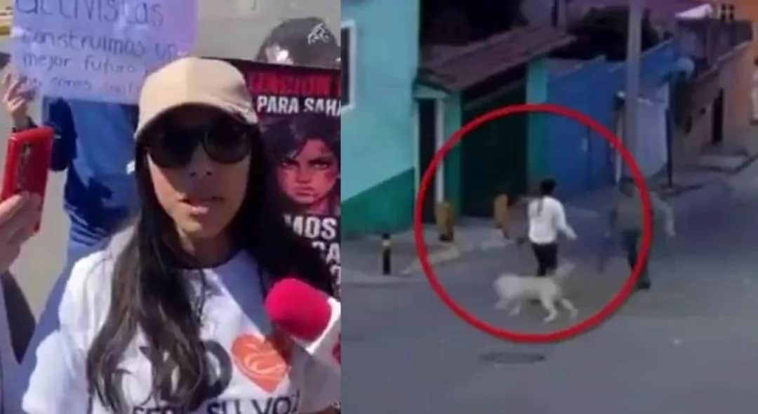 Video: Atacan con machete a mujer que protegía a perros callejeros en Puebla