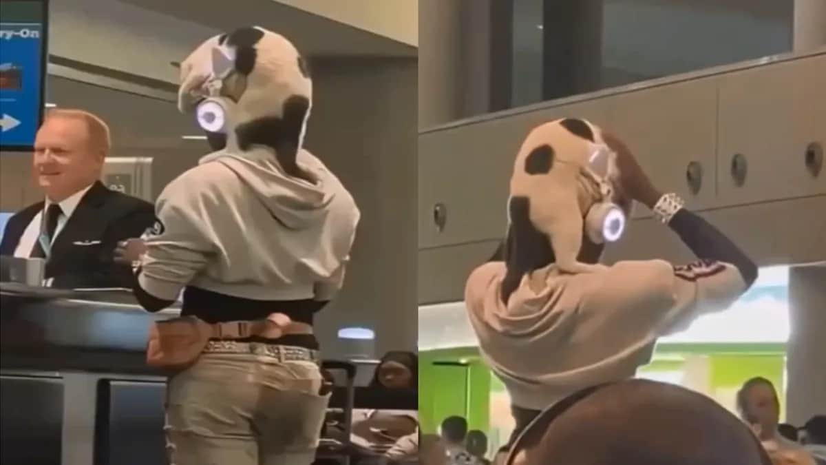 Video: Hombre intenta pasar a su gato como sombrero en un avión en Estados Unidos