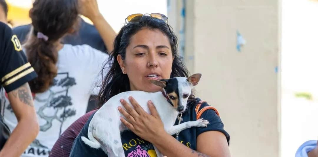 Refuerza Estefanía Mercado bienestar animal en Playa del Carmen