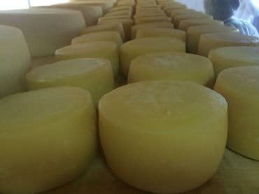 Rusia desarticula red de contrabando de queso