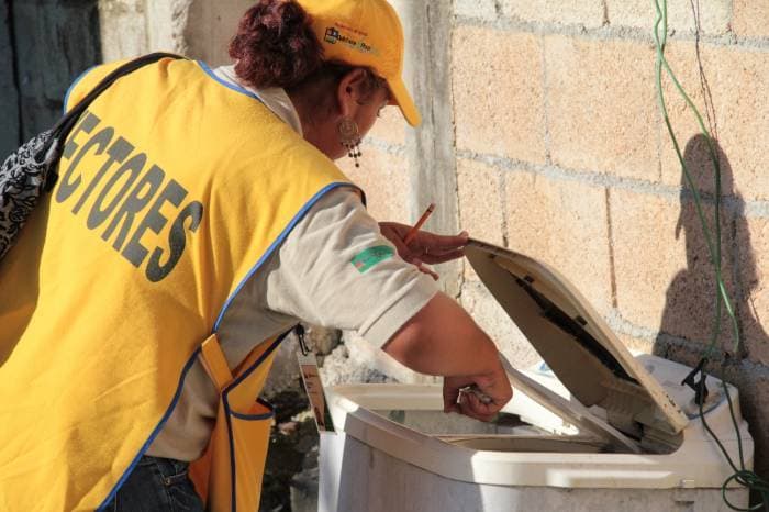 'Ataca' el mosco del dengue en Q. Roo