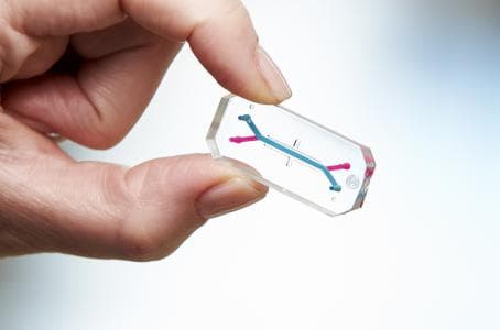 Ahora tu empresa te podrá monitorear con microchips implantados