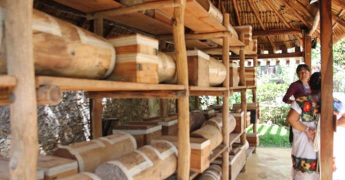 Se creó la red de Amigos de las Abejas Nativas