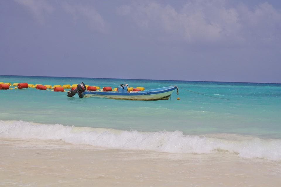 Cancún y Playa del Carmen; los destinos más buscados
