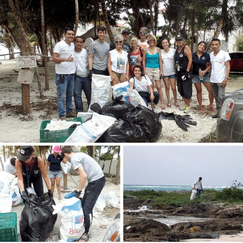 Une esfuerzos Centro Ecológico Akumal con Fundación Tao para proteger a las tortugas