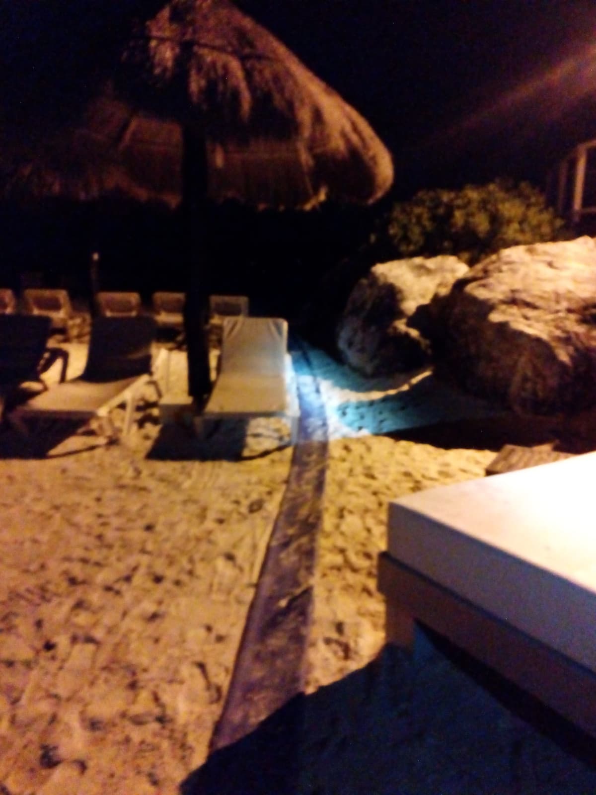 Extrae Hotel Catalonia arena de la laguna para rellenar su playa