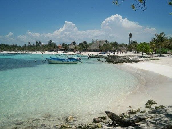 CEA no está cobrando el acceso a la bahía de Akumal