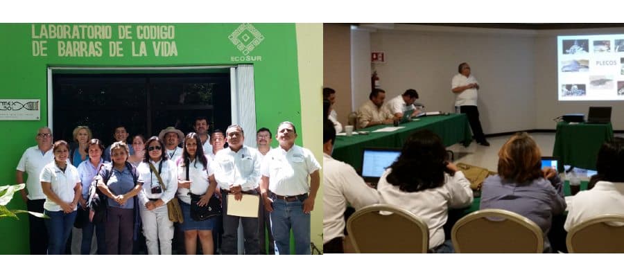 Advierte Profepa sobre riesgo de especies invasoras