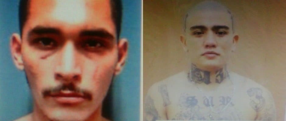 Dos prófugos de cárcel de Cancún son detenidos en Yucatán