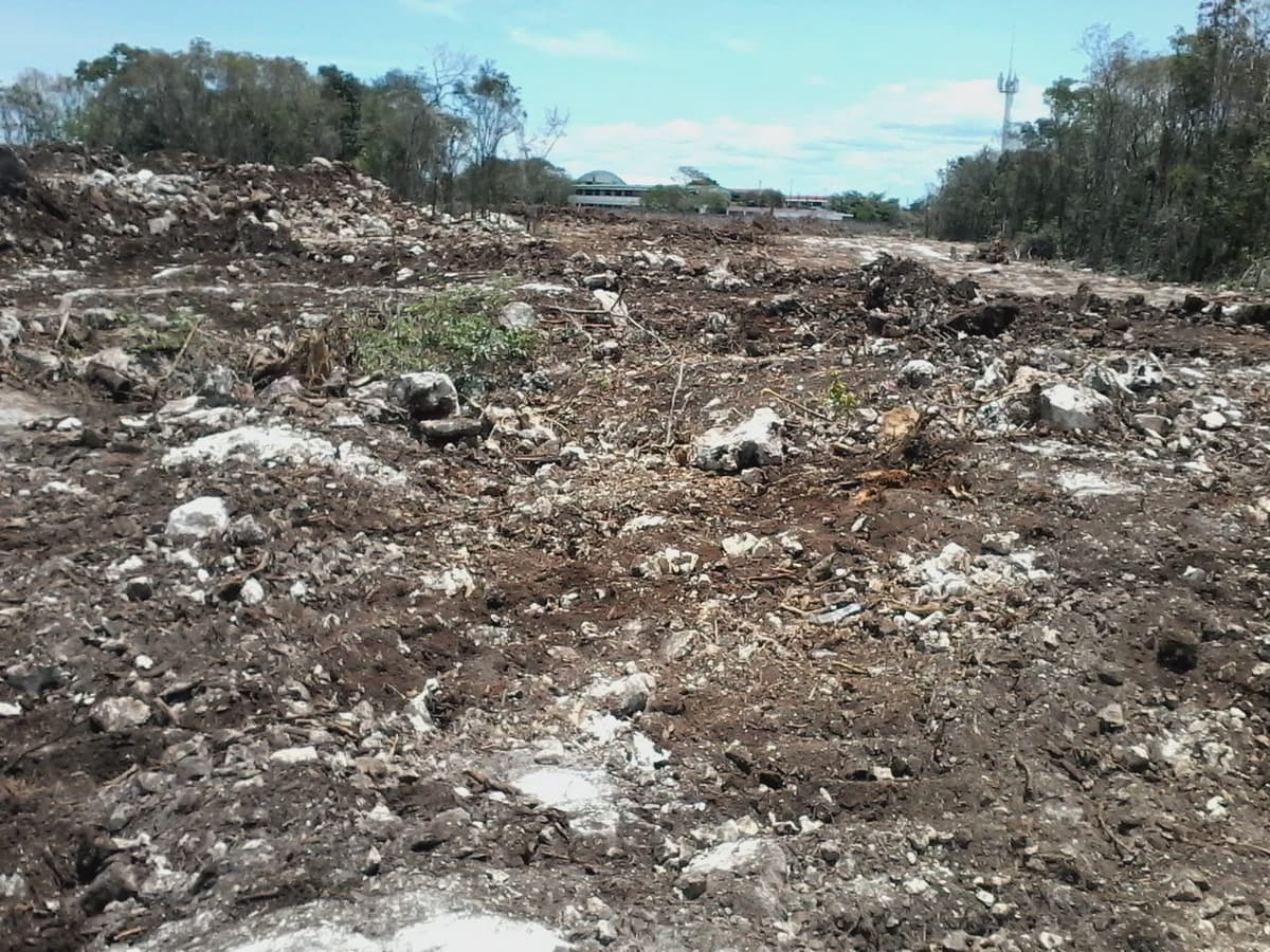 Autoridades no actúan ante robo de tierra en Solidaridad