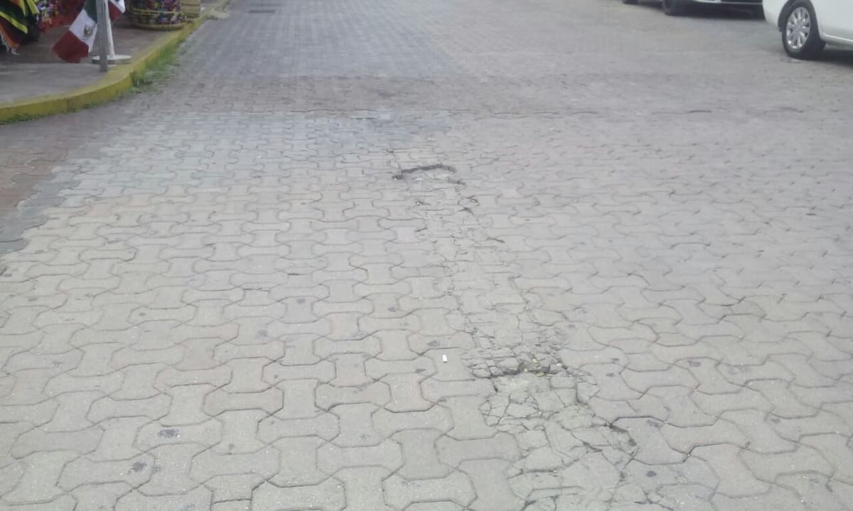 Denuncian empresarios deterioro de la Quinta Avenida