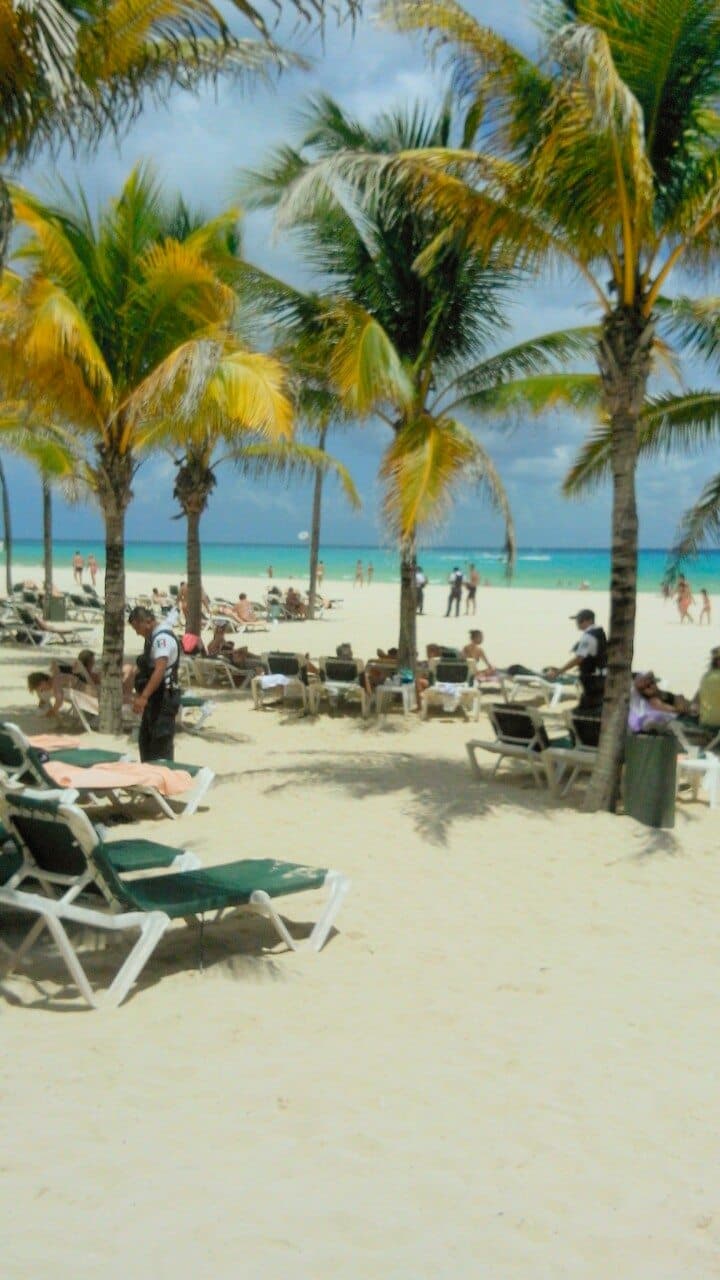 Da resultados operativo contra alpaqueros