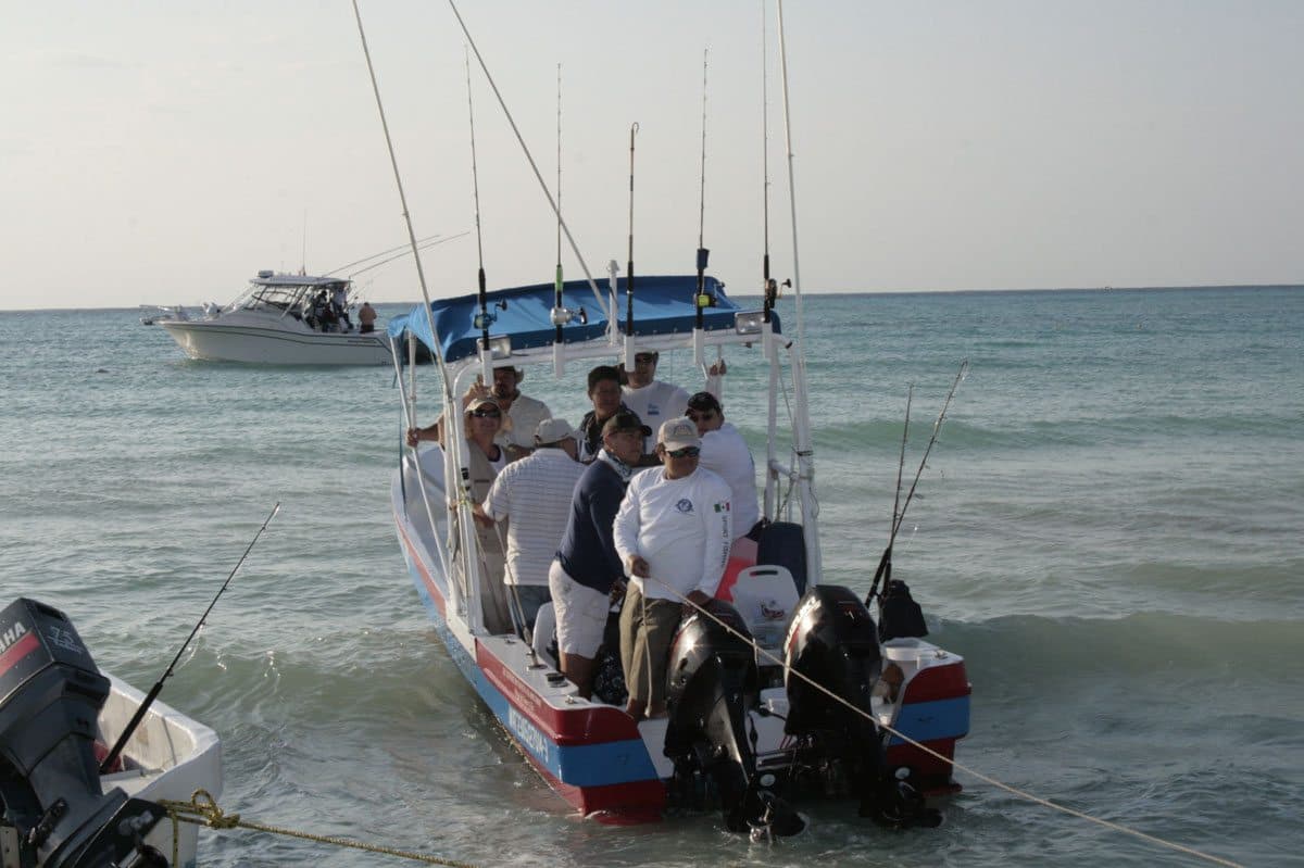Regula Sagarpa captura de marlin durante siguientes 3 años