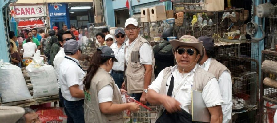 Obtiene la PROFEPA sentencia condenatoria contra traficantes de especies