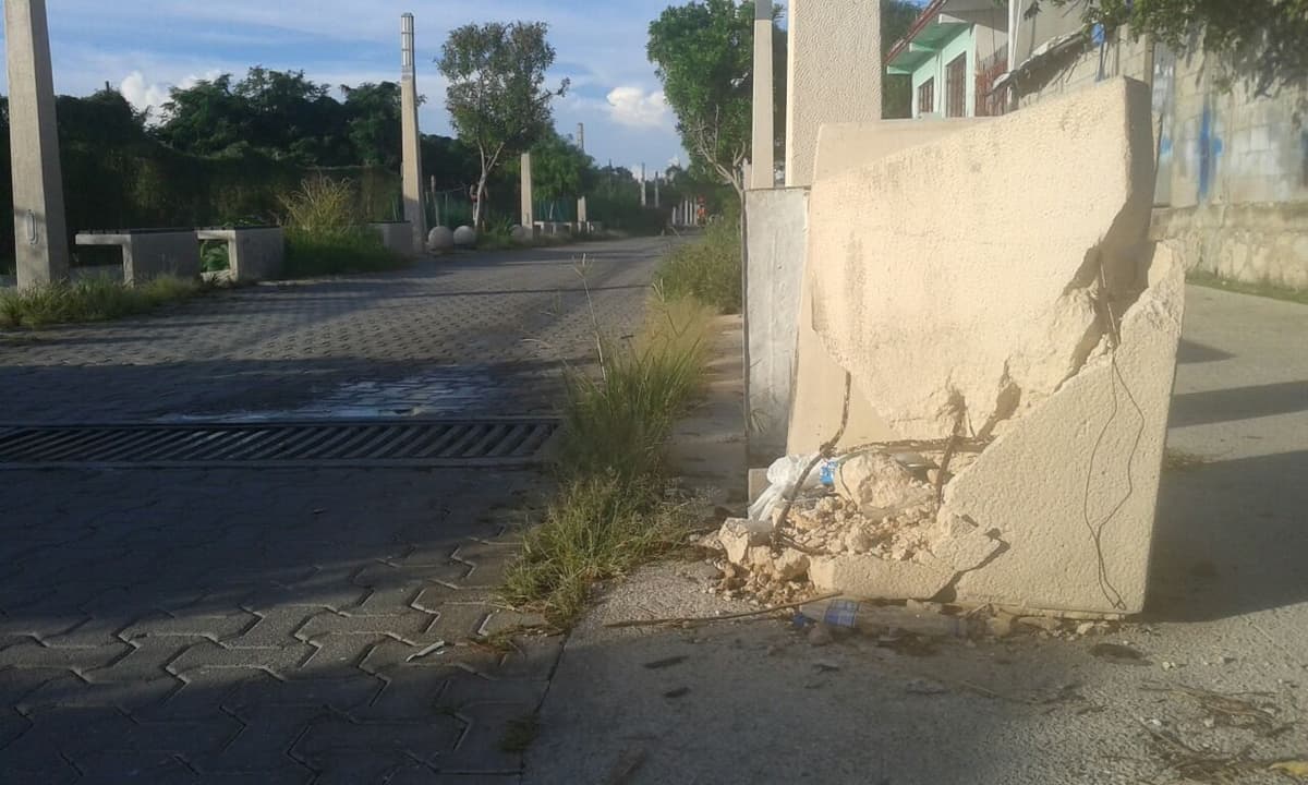 Destinarán 8 millones de pesos a la Quinta Avenida