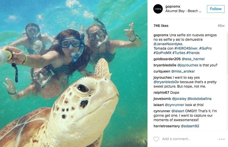 Irresponsable GoPro México: Fomenta el acoso a la tortuga marina en Akumal