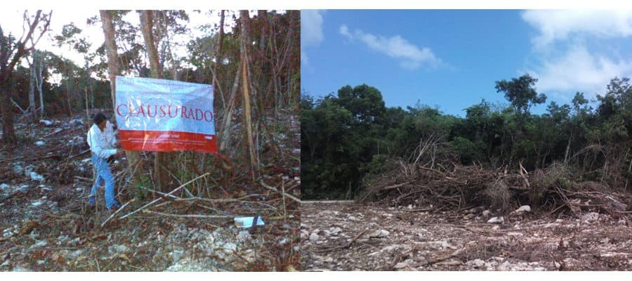 Revés para empresa ABC: Profepa clausura predio Balam-Tun