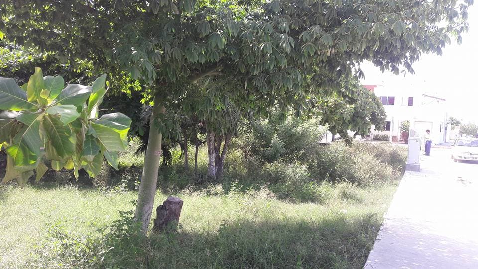 No cesa la inseguridad en el fraccionamiento Cataluña