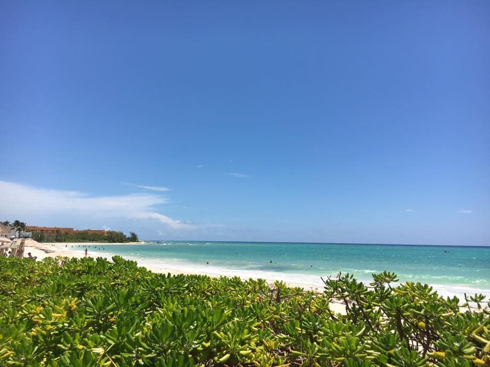 Se revisarán proyectos depredadores en Playa del Carmen