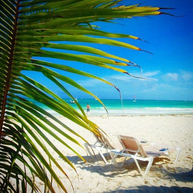 Recorte federal afectará proyectos de la Riviera Maya