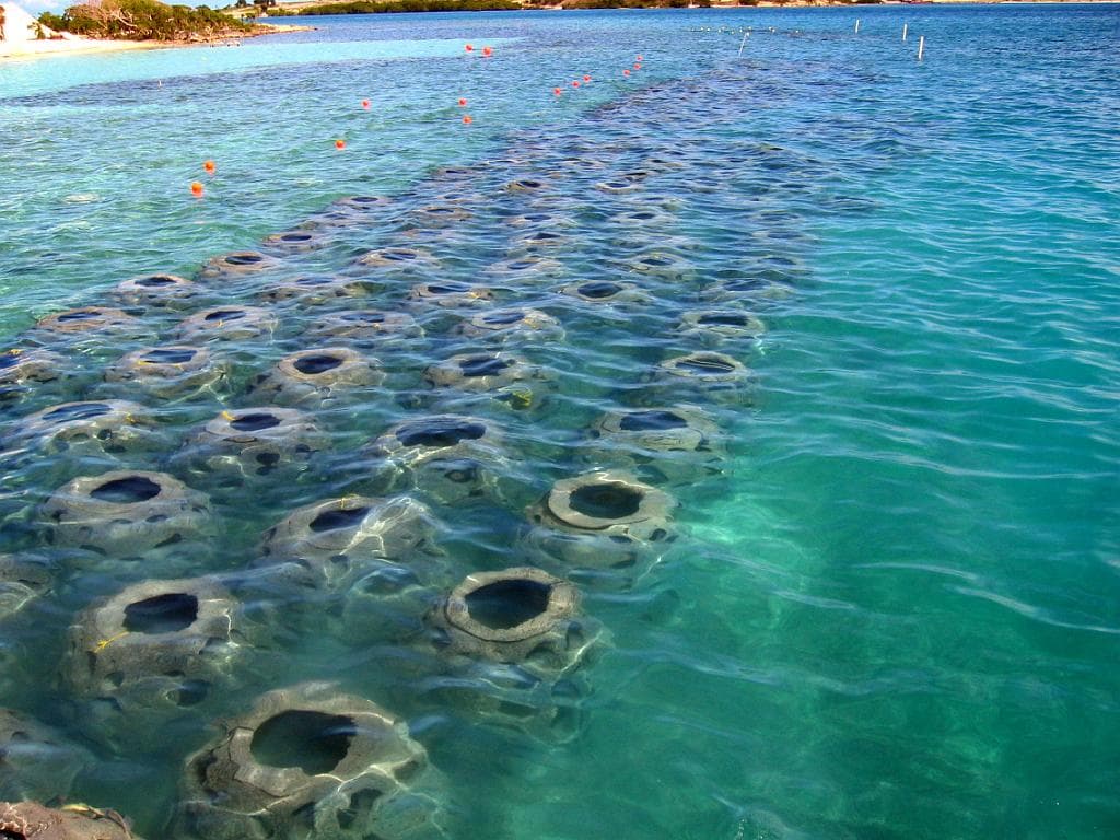 Rechaza SEMARNAT proyecto de arrecifes artificiales tipo REEF BALL para Puerto Morelos