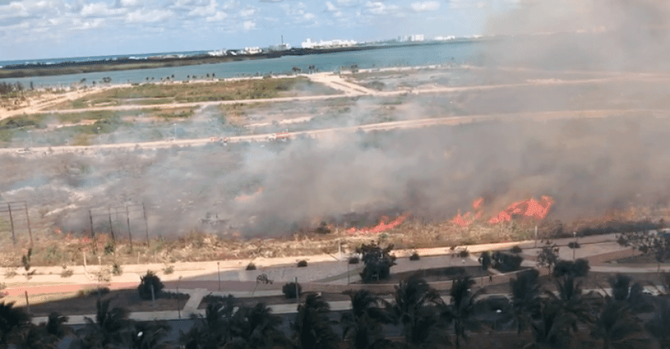 Incendios forestales dañaron más de mil hectáreas en la última semana