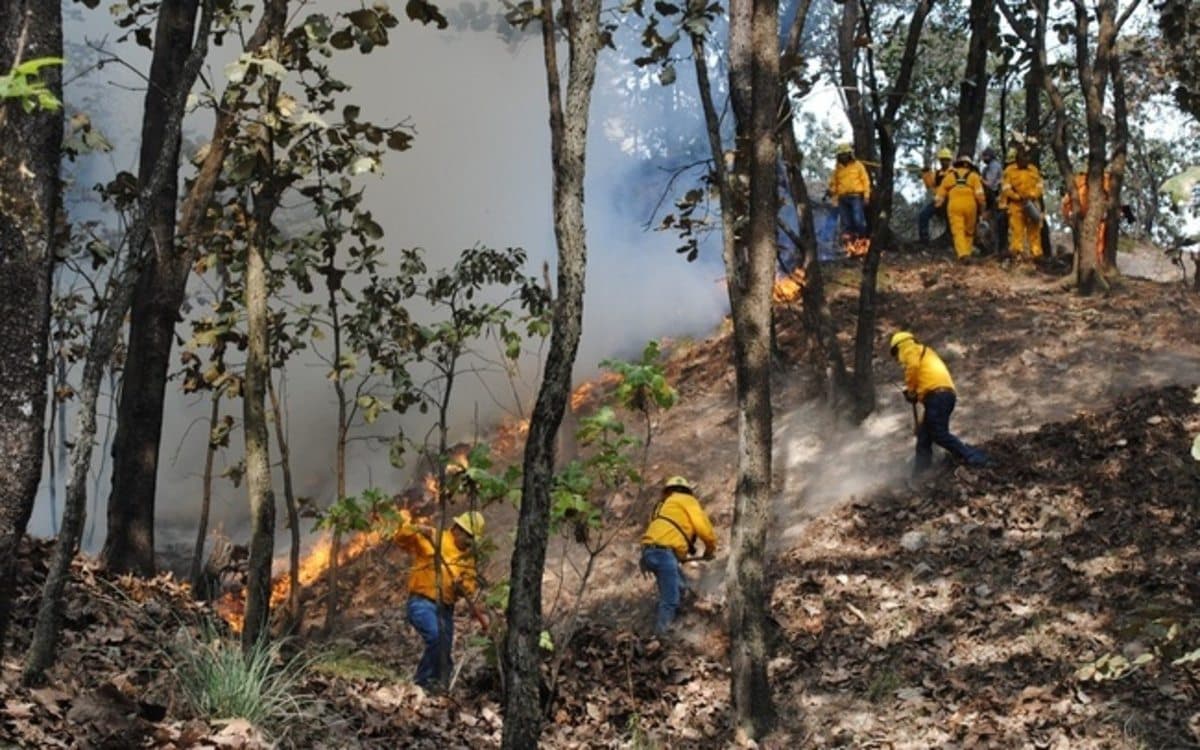 Buscan concientizar a la población sobre incendios forestales