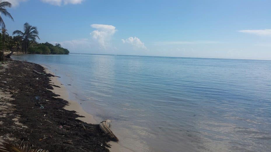 POLÍTICOS Y EMPRESARIOS DEL NORTE DEL PAÍS, BENEFICIADOS CON LAS “GANGAS” DE BORGE