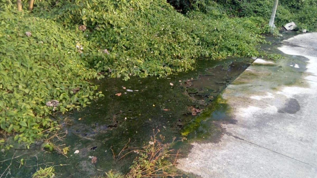 Residencial El Cielo contamina el manto freático