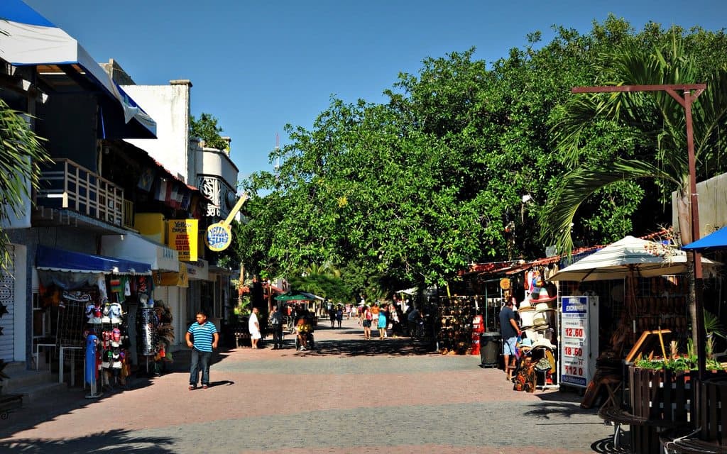 Inicia retiro de comercio ambulante irregular en la Quinta Avenida