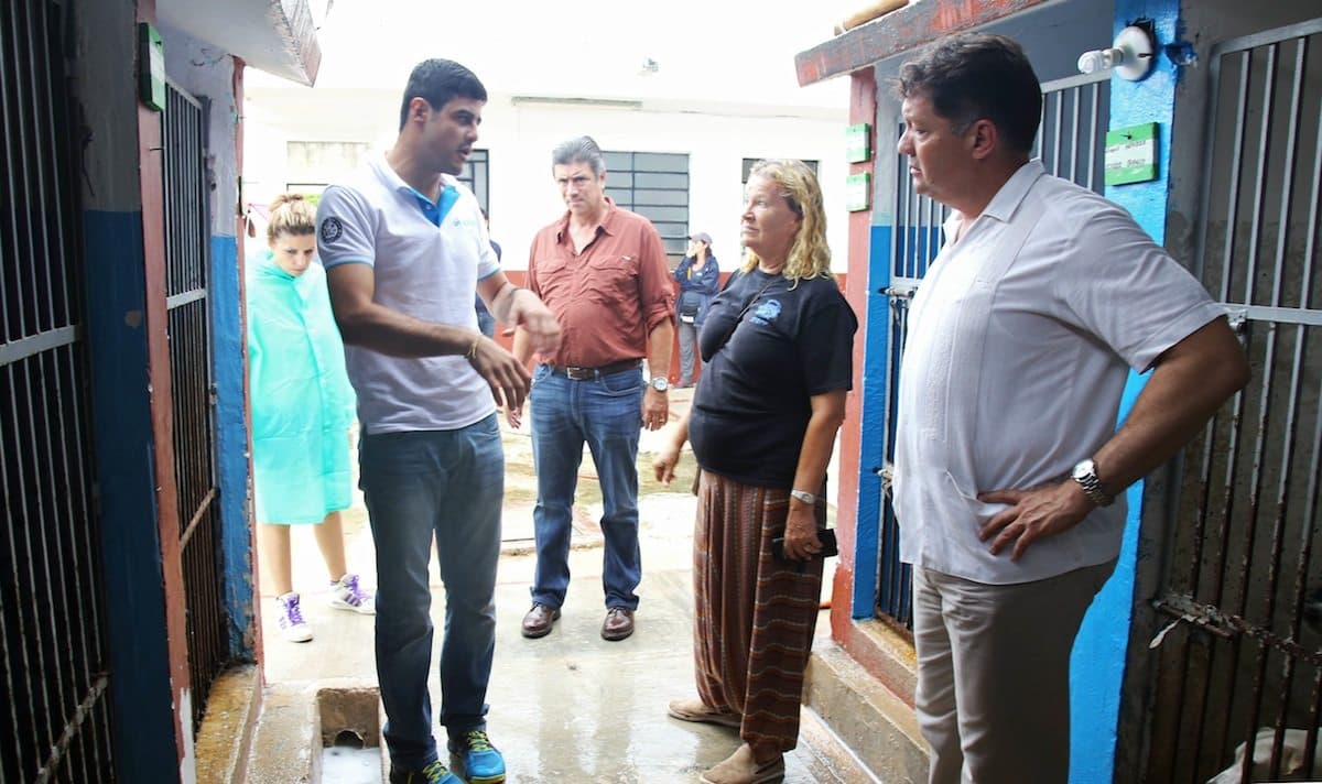 Plan de contingencia para salvaguardar a los perros rescatados