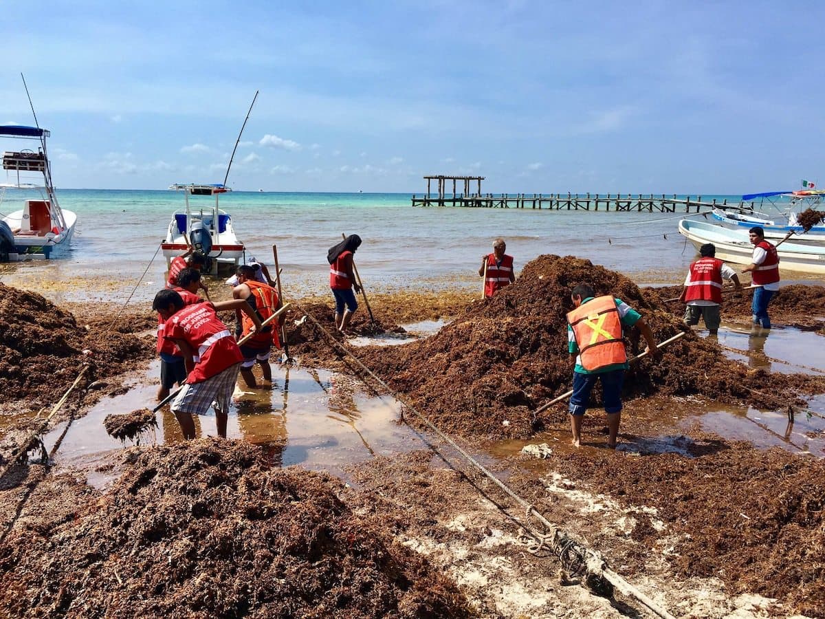 Infractores rehabilitan Solidaridad