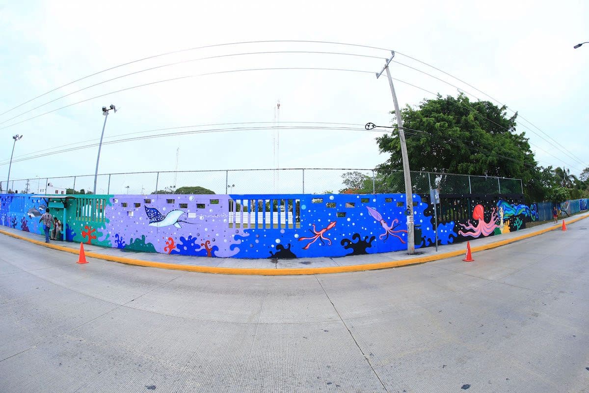 Solidaridad recibe donación de mural de la vaquita marina