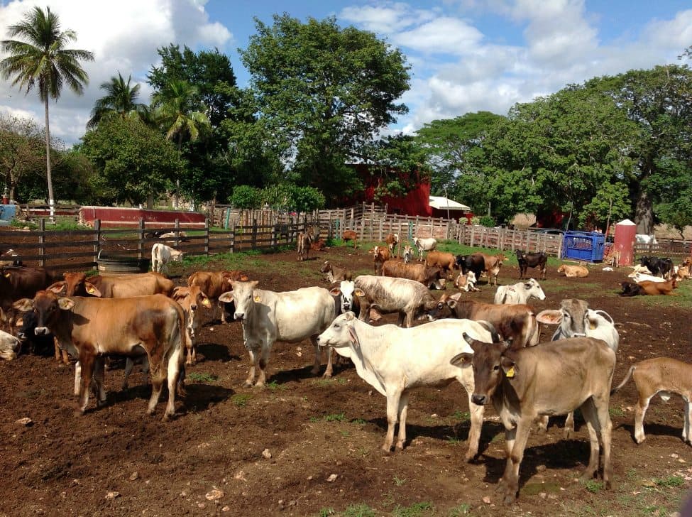 Destinarán 56 millones de pesos para pequeños productores