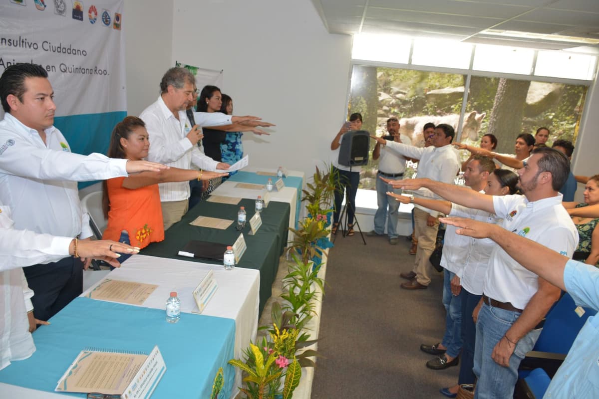 En Tulum, reinstalan Consejo para la atención y bienestar de los animales en Quintana Roo