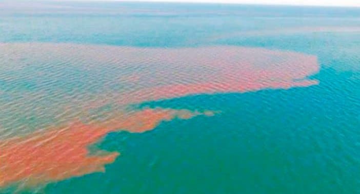 Enorme mancha de materia fecal es detectada en aguas de Los Cabos