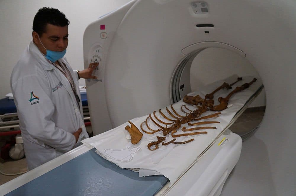 Los restos de Naia quedarán bajo resguardo del Museo Nacional de Antropología