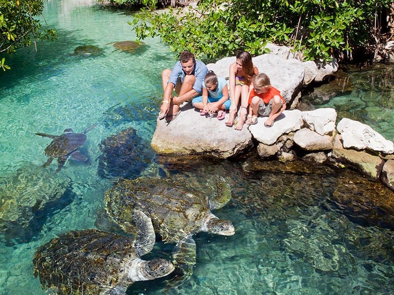 Convoca Xcaret a Concurso Fotográfico “Hablemos de ese México”