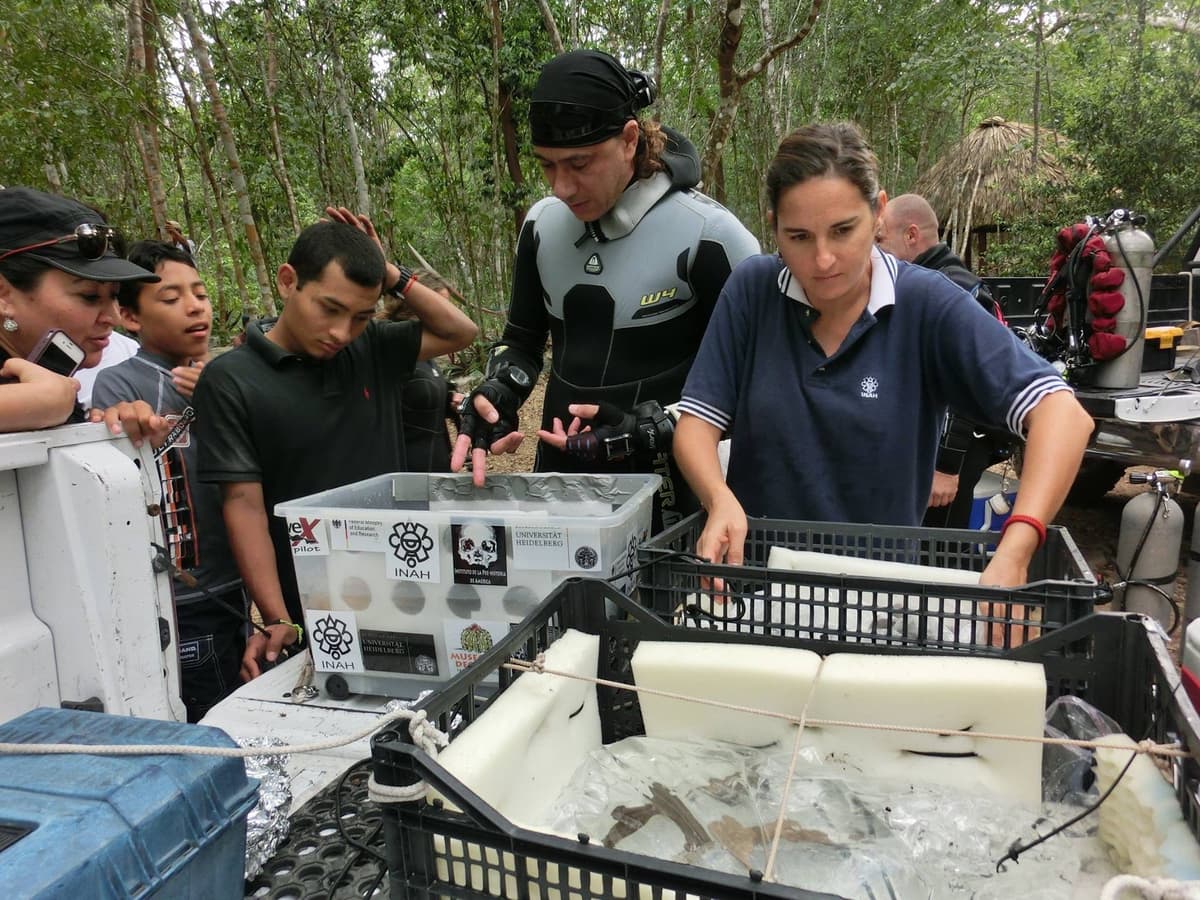 Quintana Roo, un yacimiento paleontológico sumergido: Arqueóloga Carmen Rojas Sandoval
