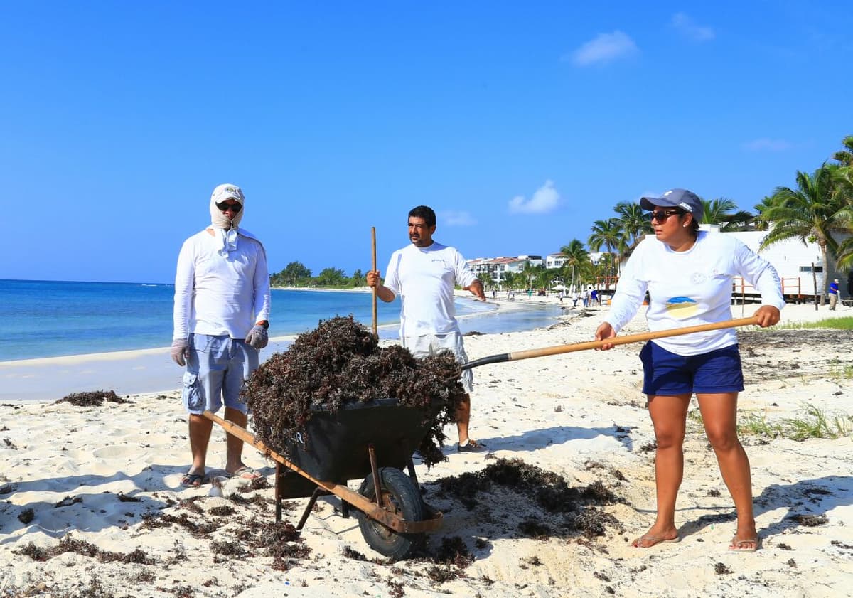 Impulsa Solidaridad limpieza de costas