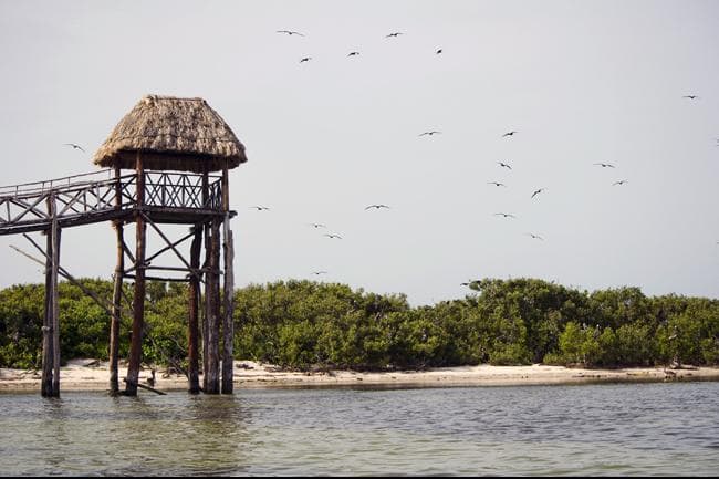 Sectur inyectará más de 810 millones de dólares a Quintana Roo