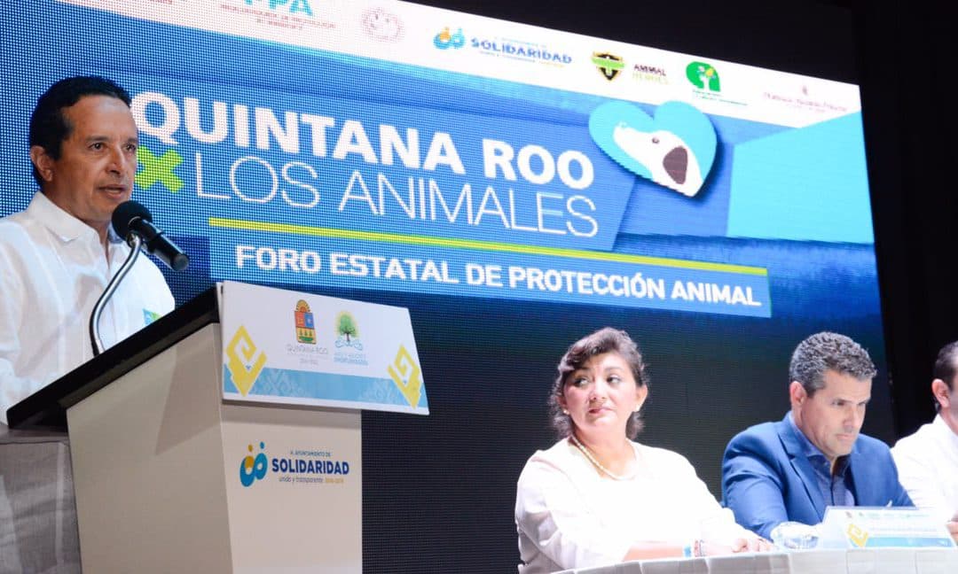 Diversidad animal de Quintana Roo es una riqueza y un orgullo: Carlos Joaquín