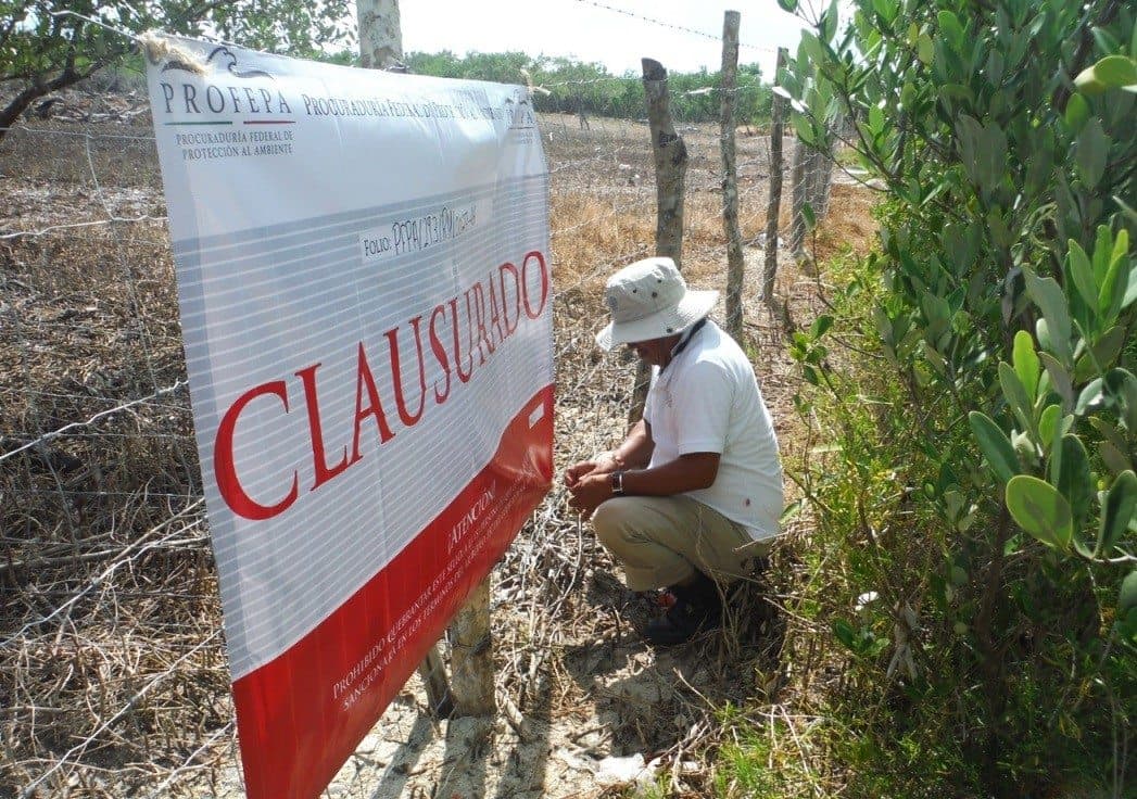 Reporta PROFEPA 937 acciones en lo que va del año, en Akumal y Holbox