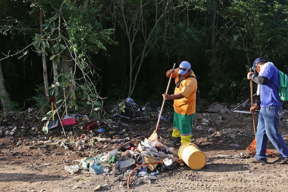 Solidaridad refuerza labores para erradicación de vectores