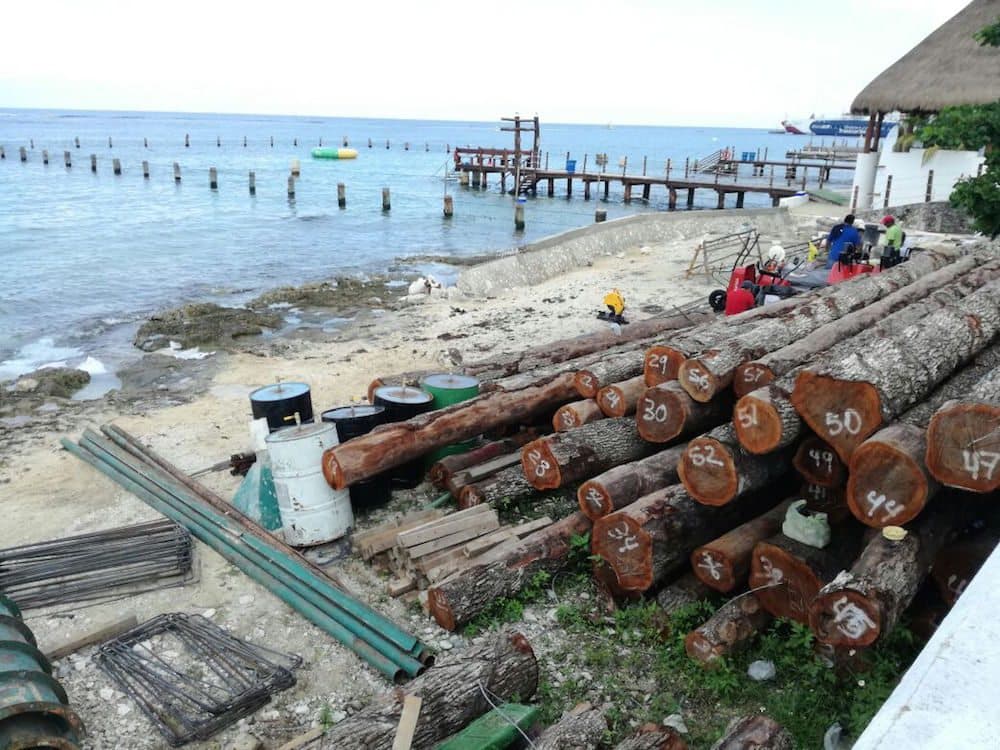 Denuncian ambientalistas daños a arrecifes coralinos de Cozumel