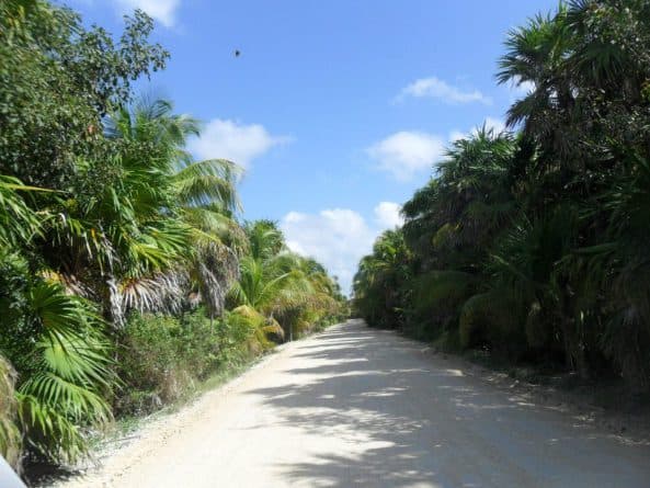 Acuerdan crear un Fideicomiso para la construcción de camino a Punta Allen