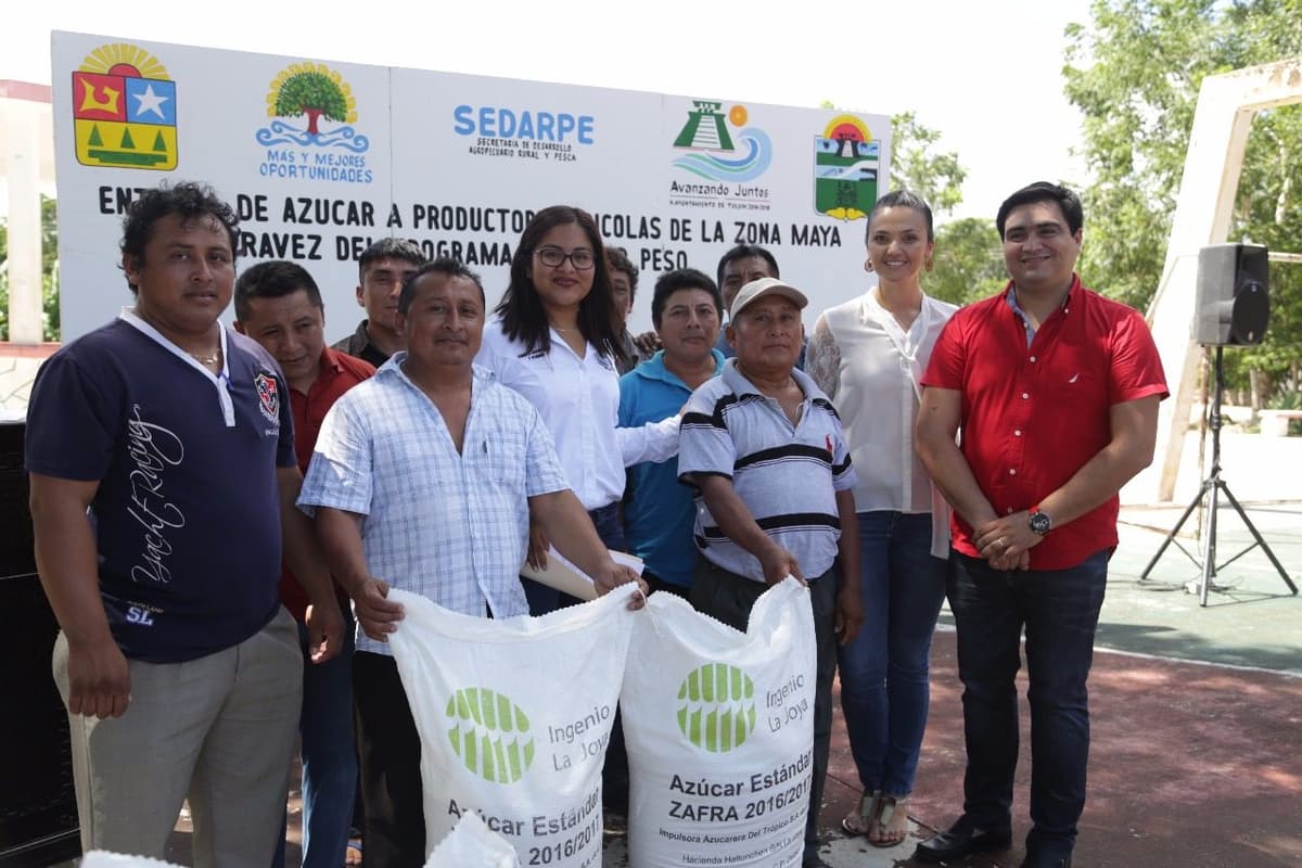 Reciben apicultores de la Zona Maya azúcar del programa “Peso por Peso”