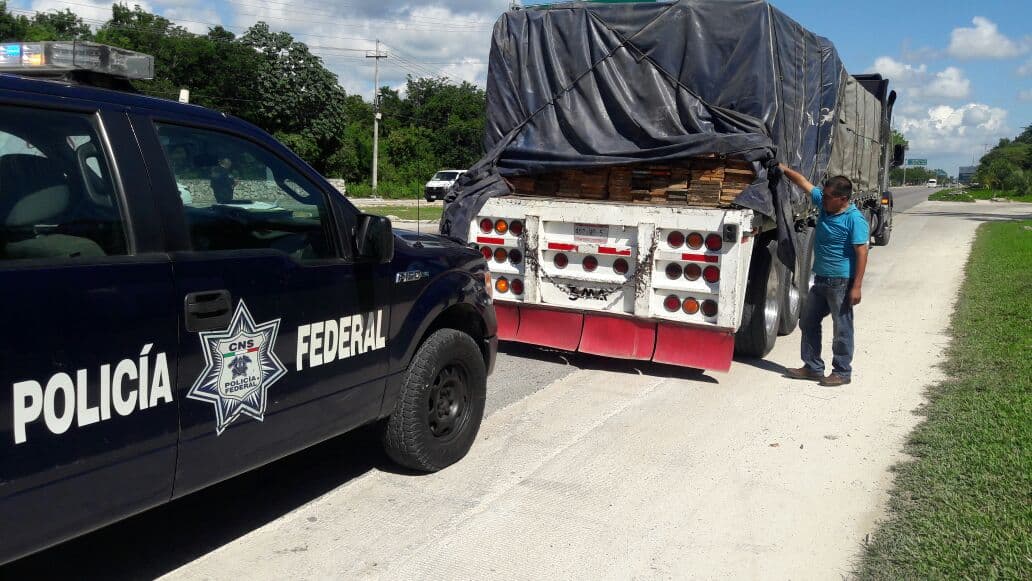 Aseguran tráiler con 2 mil 600 piezas de madera sin registro