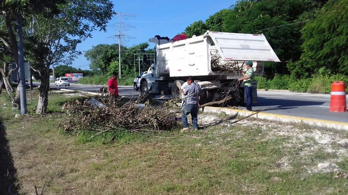 Solidaridad recupera espacios públicos para prevenir violencia contra la mujer