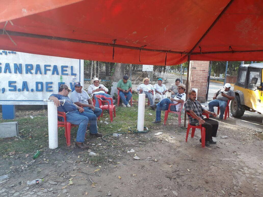 Niegan pago a cañeros por 100 mdp